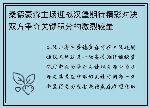 桑德豪森主场迎战汉堡期待精彩对决双方争夺关键积分的激烈较量 桑德豪森主场迎战汉堡期待精彩对决双方争夺关键积分的激烈较量